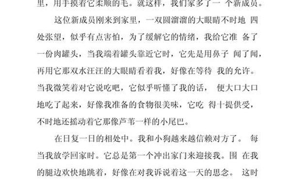 我的心爱之物600字左右—五上作文我的心爱之物