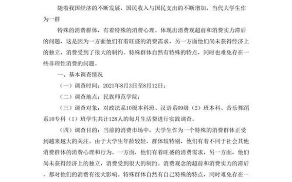 大学生调查报告模板;大学生消费情况调查报告3000字