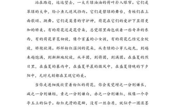 关于莲花的作文-关于莲花的作文600字初中
