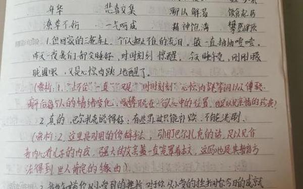 傅雷家书读书笔记摘抄,《傅雷家书》金句