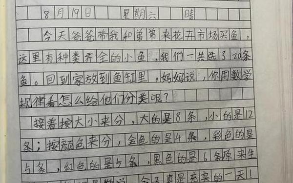 六年级数学日记(位置与方向日记100字)