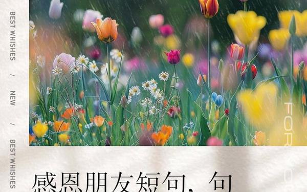 感谢朋友的话语暖心 感恩朋友的话语句子图片