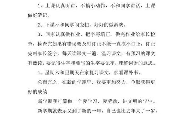 新学期新计划200字(新学期的目标200字)