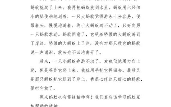 2年级的作文300个字_三年级的作文300个字