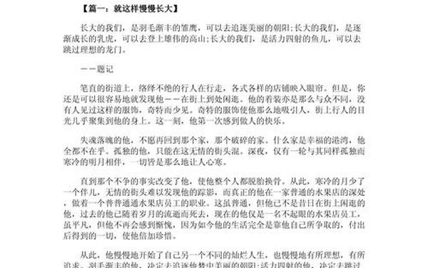 优秀叙事文—记叙文中考满分作文