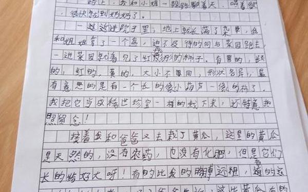四年级上册第七单元作文 奶奶的菜园作文400字四年级