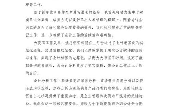 会计年终总结 会计个人总结2024