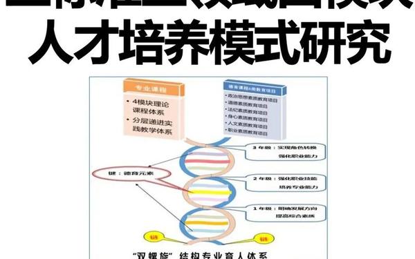 企业人才培养方案_公司青年人才培养管理体系的内容