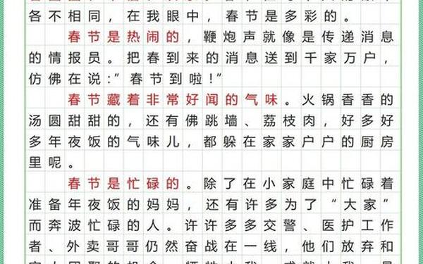 关于过春节的作文;以《春节》为主题的作文