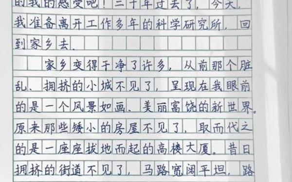 二十年后的家乡400字一等奖-二十年后的家乡400字作文