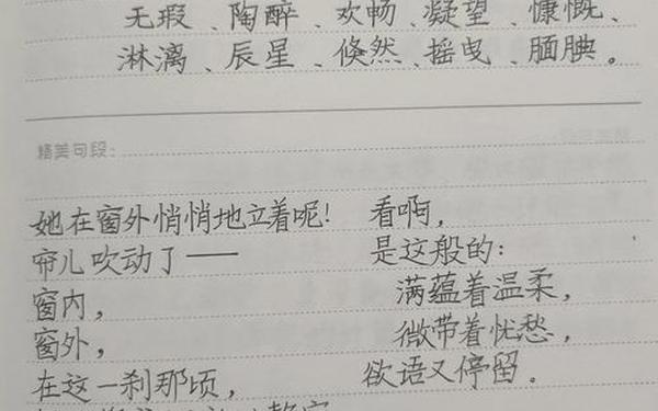 小学生读书笔记范文,读书笔记摘抄