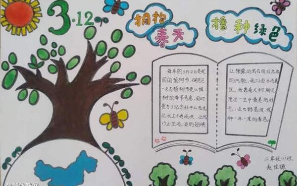 关于保护环境的手抄报,爱绿护绿拥抱春天的手抄报