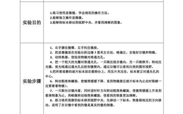 实验报告格式 实验报告格式模板图片