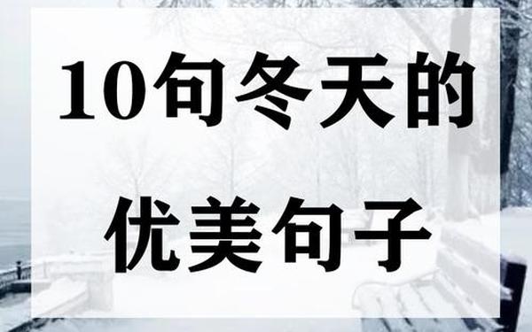 冬天优美句子摘抄简短(形容冬天的优美句子)