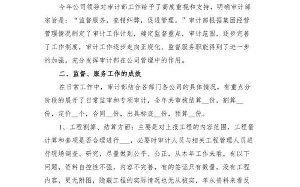 内审总结报告;事业单位内部审计工作总结 内审总结报告;事业单位内部审计工作总结