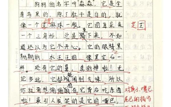 我的动物朋友作文200字—假如我是一坨屎作文