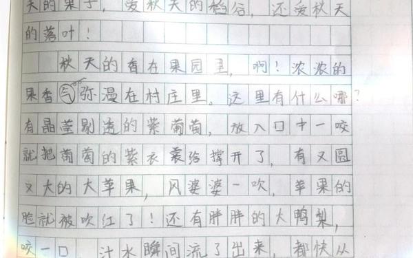 描写秋天的作文500字(我爱秋天作文200字)