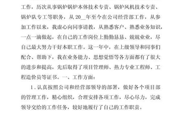 主要工作业绩_主要工作业绩500字