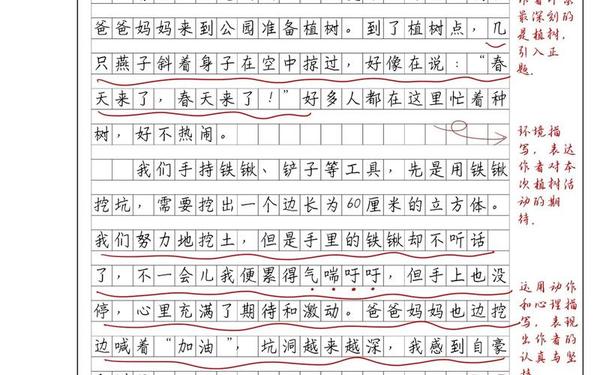 多彩的活动作文300字,6年级上册作文多彩的活动300字