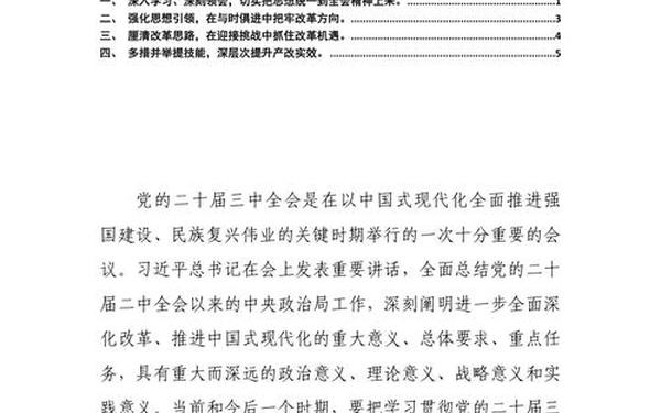 主题教育专题组织生活个人发言提纲(高三政治发言提纲类题)