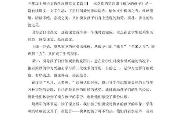 教学反思范文-对教学反思的反思