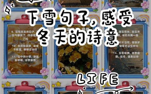 下雪心情感言_下雪了怎么表达心情
