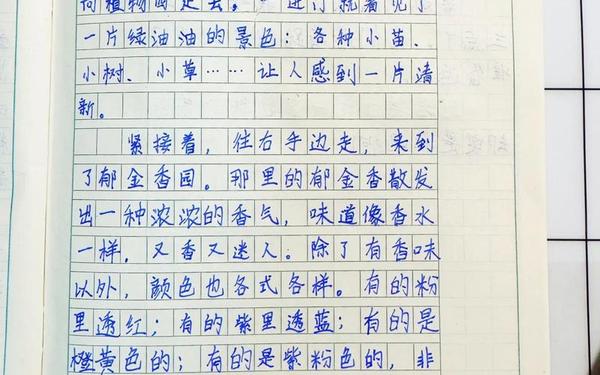 植物园作文 仙湖植物园作文100字左右