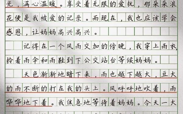 小学满分作文范文欣赏(小学生作文100篇)