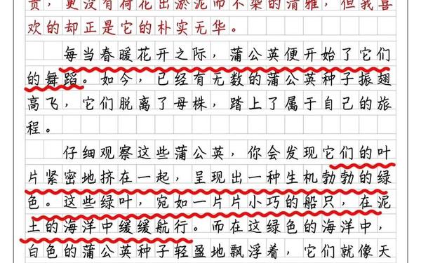 小学生优秀满分作文范文、小学生优秀作文100篇 小学生优秀满分作文范文、小学生优秀作文100篇