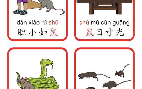 十二生肖的成语大全 十二生肖的名字