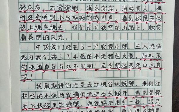 暑假作文300字左右_寒假里的一个人作文