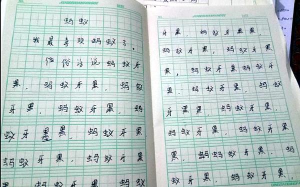 五年级下册语文第一单元的作文-假如我是一坨屎作文