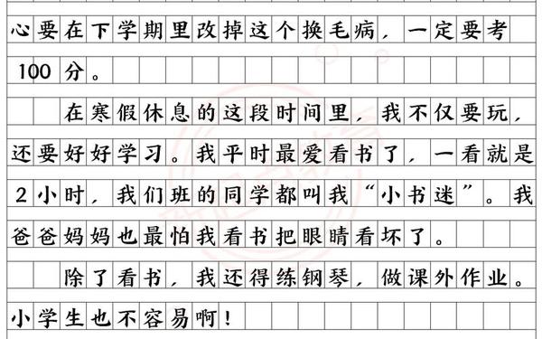 我的假期生活作文300字(寒假作文250)