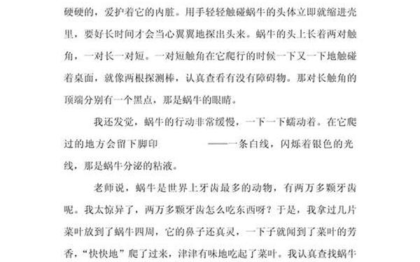 动物的作文100字—动物的小练笔怎么写100字