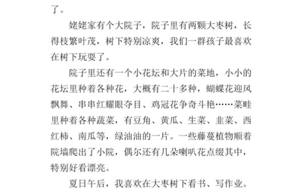 关于乡村生活的作文—团年作文三年级300字