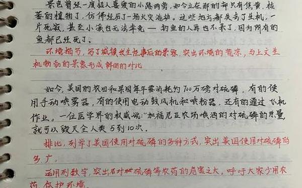 40个优美句子加赏析 环境描写摘抄加批注