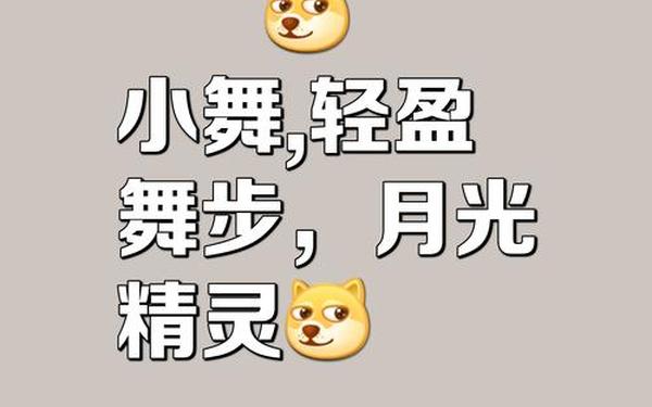 打扫扭扭扭-炫音是什么意思