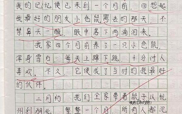 女孩写最悲伤作文、我独特的内心世界作文