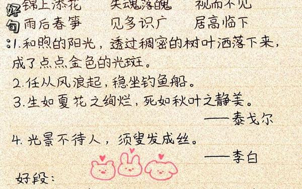 好词好句好段摘抄大全初中_99999999亿个好词