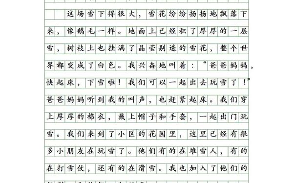 冬雪作文100字、冬雪日记100字大全