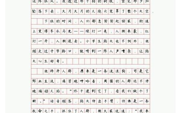 冬日黄昏时车来人往的街头600字-冬日黄昏下的街头550字