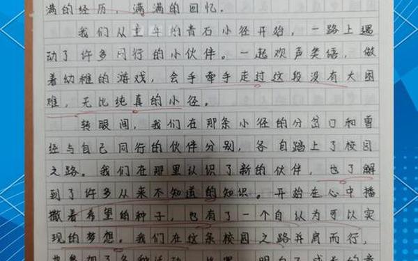 通往广场的路不止一条—通往广场的路不止一条作文500字