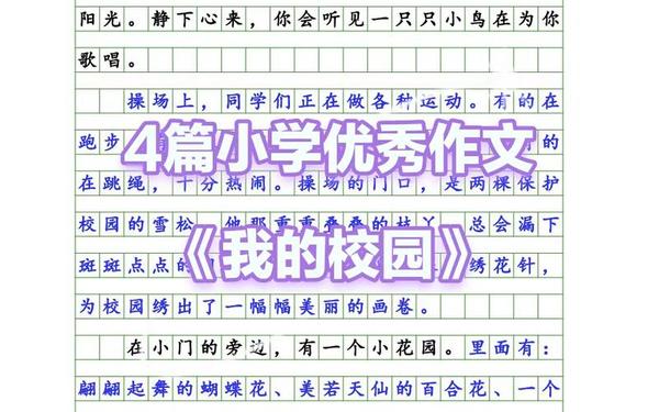 小学作文美丽的校园—《美丽的校园》三年级作文