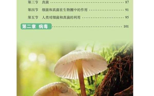 七年级生物下册教学计划、七下生物书2025最新版