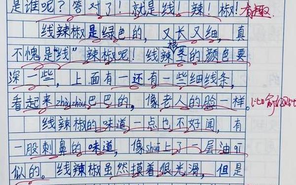 5年级下册作文-5级作文300字可抄