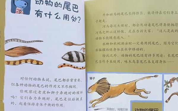 好奇的故事y、关于好奇的小故事
