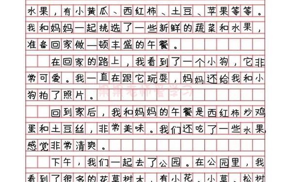 免费日记300字大全;小学日记300篇