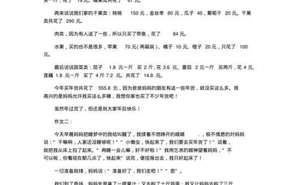 买年货作文200字、购物日记200字