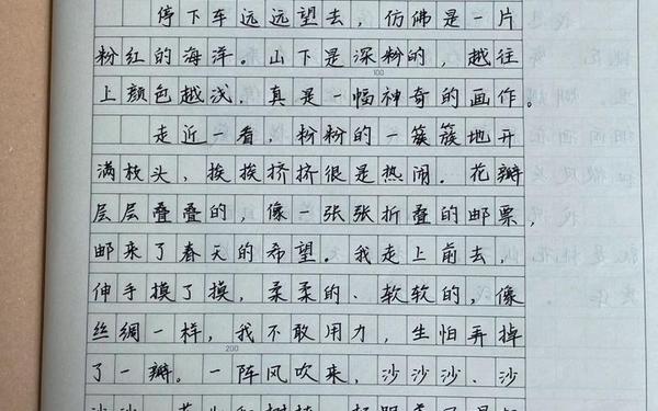 我的植物朋友桃花—我的植物朋友――桃花300字