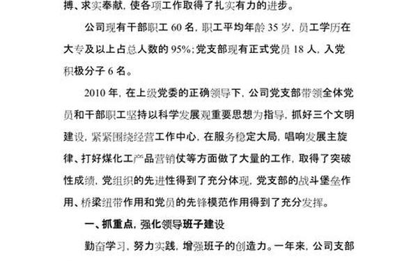 先进党支部事迹材料—优秀党支部申报事迹材料